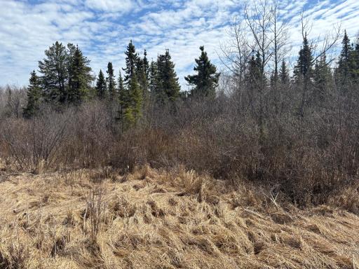 10686 Highway 37, Hibbing, MN 55746