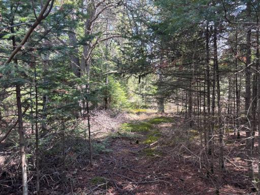 10686 Highway 37, Hibbing, MN 55746