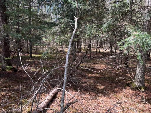 10686 Highway 37, Hibbing, MN 55746