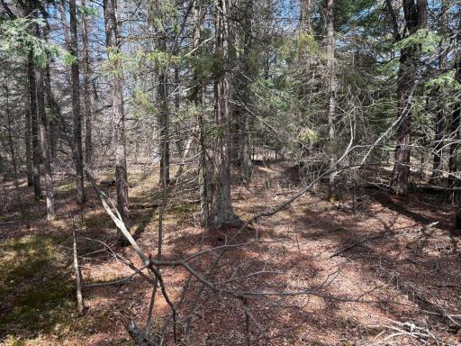 10686 Highway 37, Hibbing, MN 55746