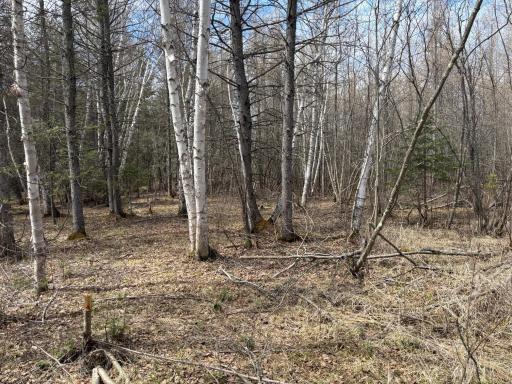 10686 Highway 37, Hibbing, MN 55746