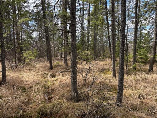 10686 Highway 37, Hibbing, MN 55746