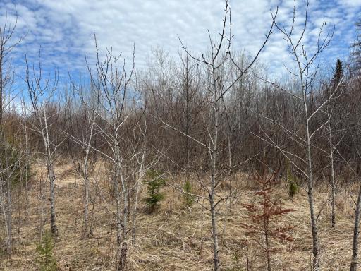 10686 Highway 37, Hibbing, MN 55746