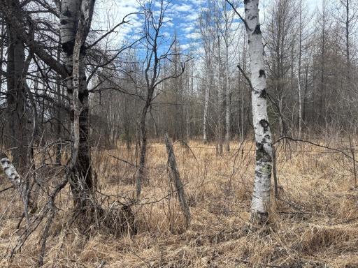10686 Highway 37, Hibbing, MN 55746