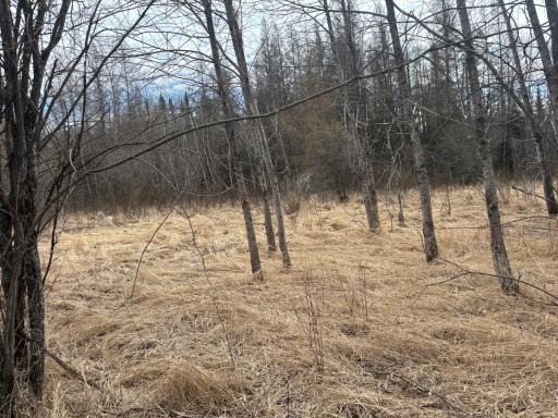 10686 Highway 37, Hibbing, MN 55746