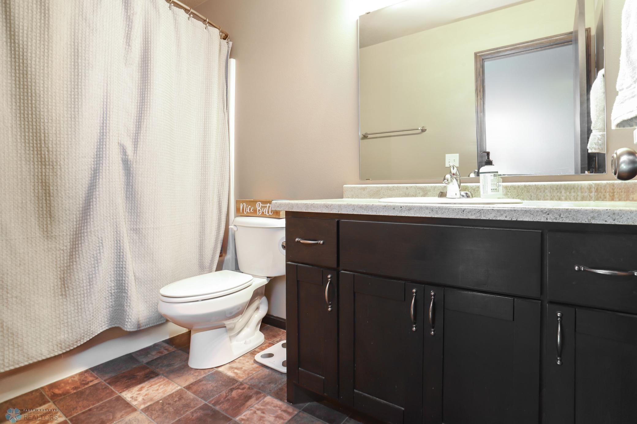 lower level bathroom