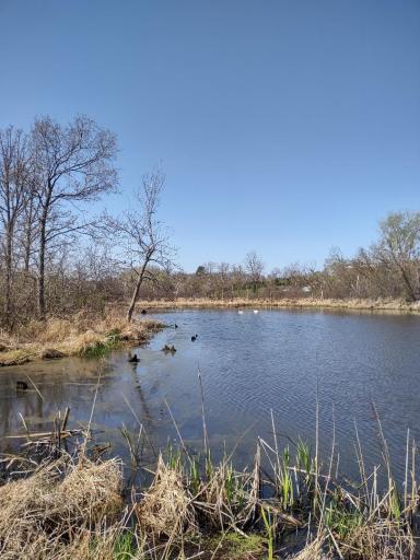 XXX US Hwy 8, Almena, WI 54805
