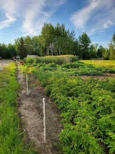 Wonderful garden spot that provides great yields
