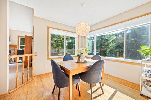 16729 Candlewood Parkway, Eden Prairie, MN 55347