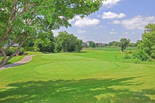8622 French Curve, Eden Prairie, MN 55347