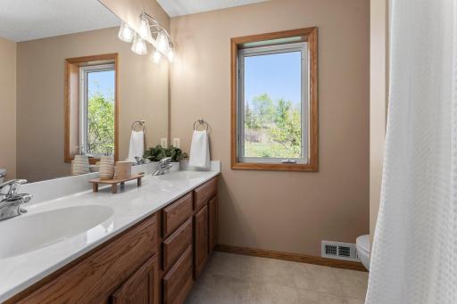 1400 Wildflower Lane, Chaska, MN 55318
