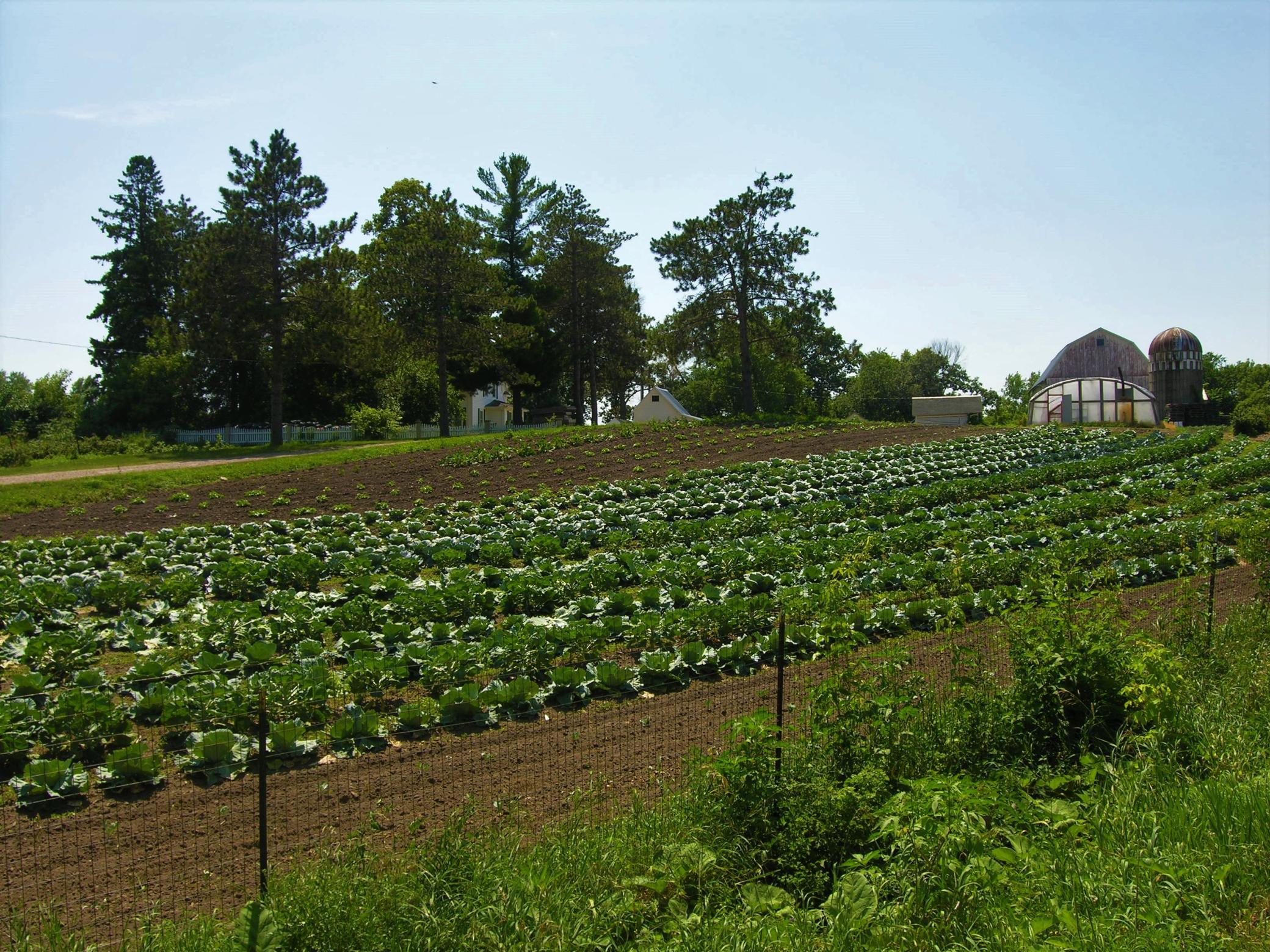 Nearby Picha Farm
