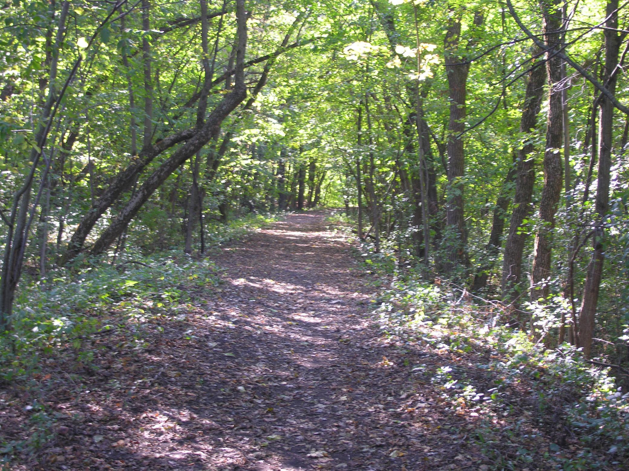 1/2 block to Birch Island Woods Trails