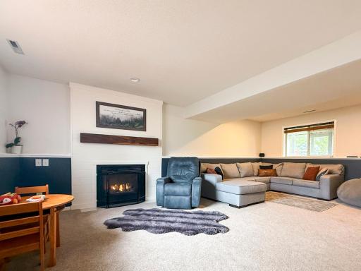 09. Sandra-Reid-Remax-Home-for-Sale-Stewartville-MN-Basement.jpg