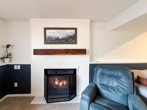 08. Sandra-Reid-Remax-Home-for-Sale-Stewartville-MN-Fireplace.jpg