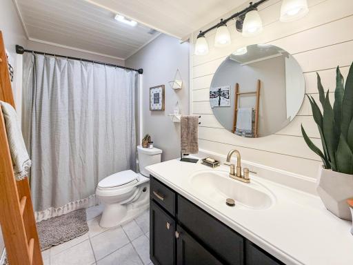 10.Sandra-Reid-Remax-Home-for-Sale-Stewartville-MN-Basement-Bathroom