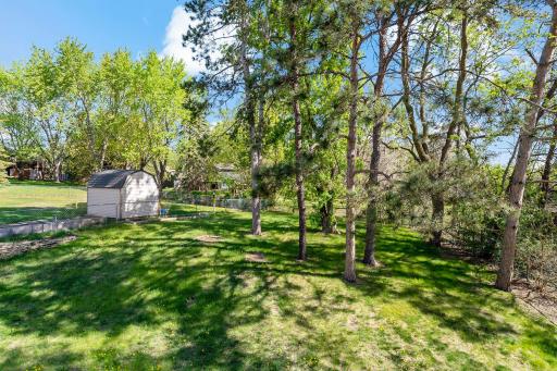 Large, fully fenced back yard with mature trees
