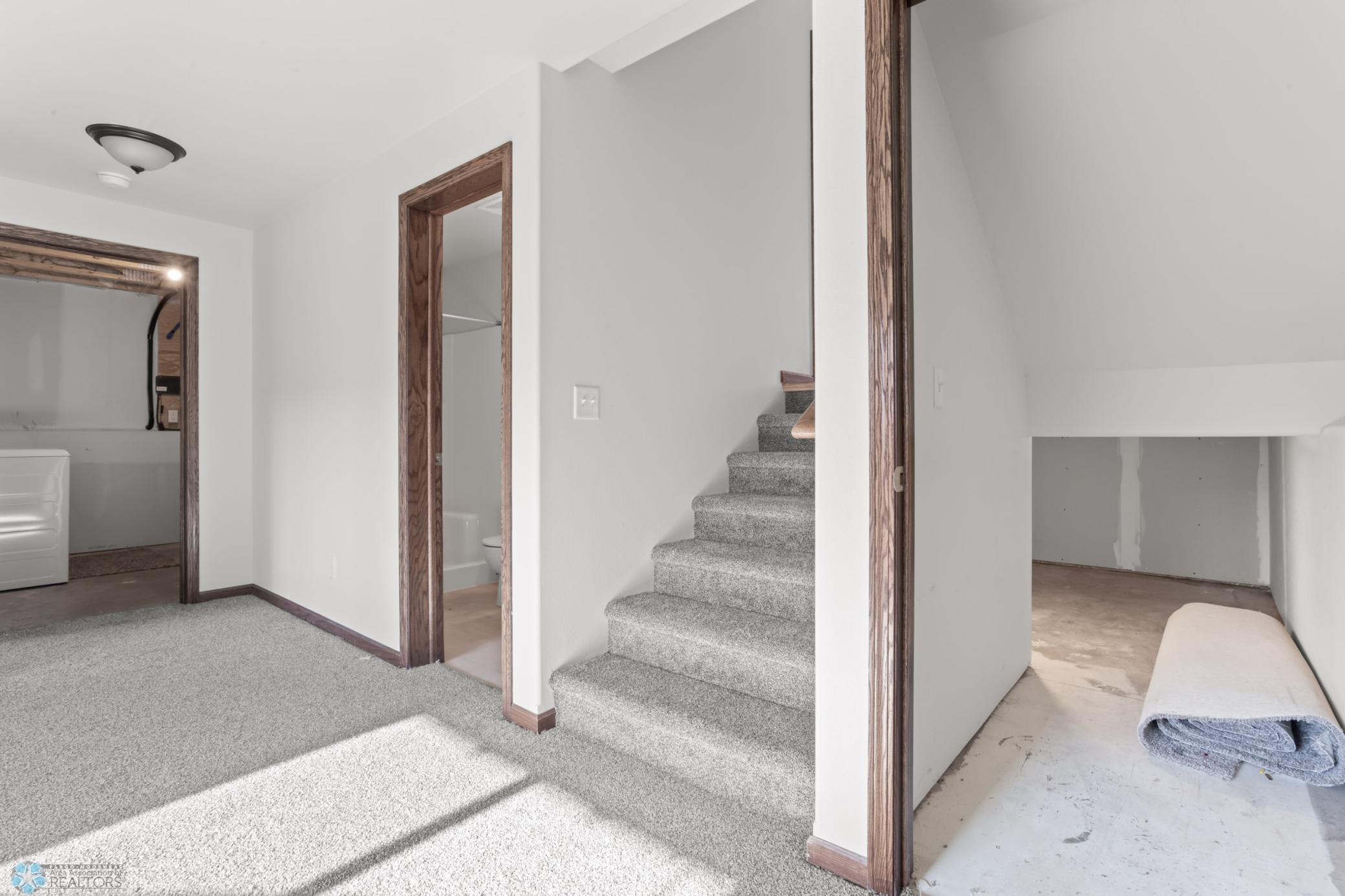 Family Room/Lower Level Stairs/Storage