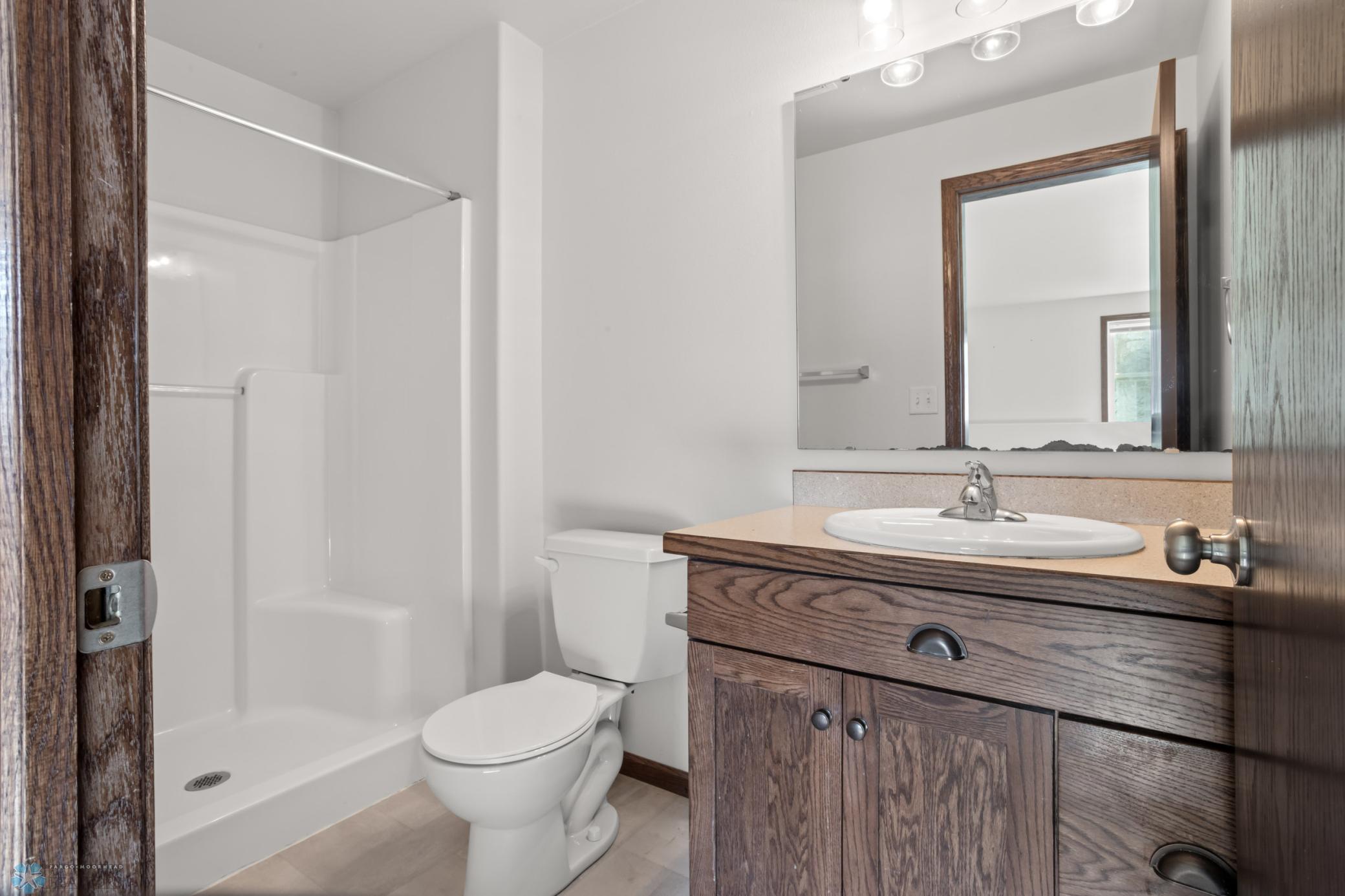Lower Level Bathroom