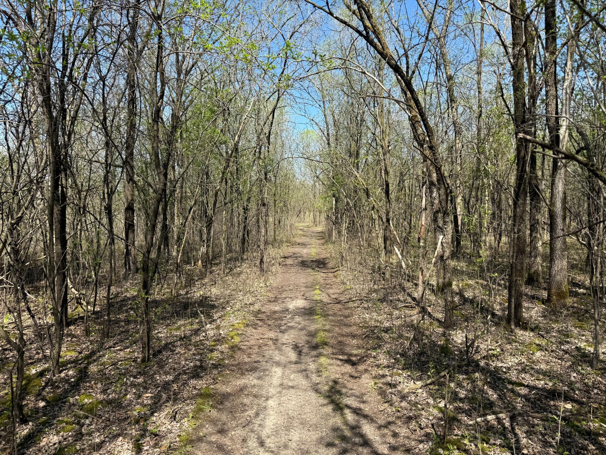IMG_3094.jpeg