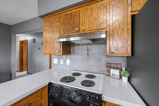34713 73rd Street, Pierz, MN 56364