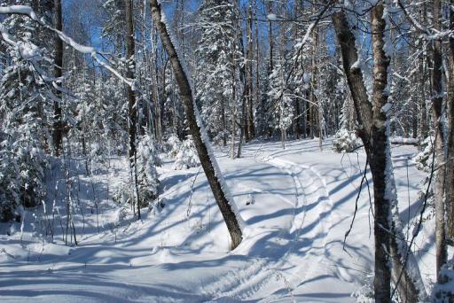 499 Tamarack Court NE, Tenstrike, MN 56683