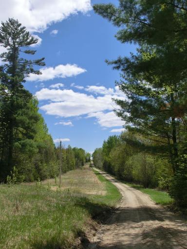 499 Tamarack Court NE, Tenstrike, MN 56683