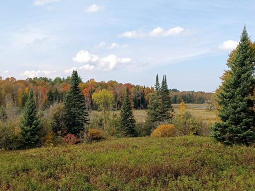 499 Tamarack Court NE, Tenstrike, MN 56683