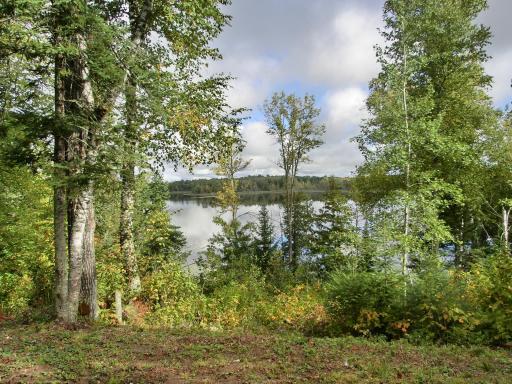 499 Tamarack Court NE, Tenstrike, MN 56683