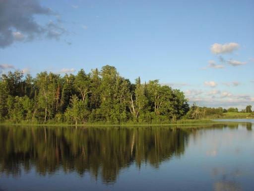 499 Tamarack Court NE, Tenstrike, MN 56683