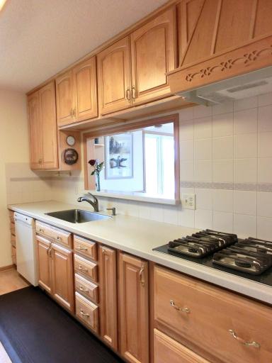 499 Tamarack Court NE, Tenstrike, MN 56683