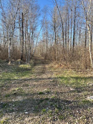 50143 State Highway 11, Salol, MN 56756