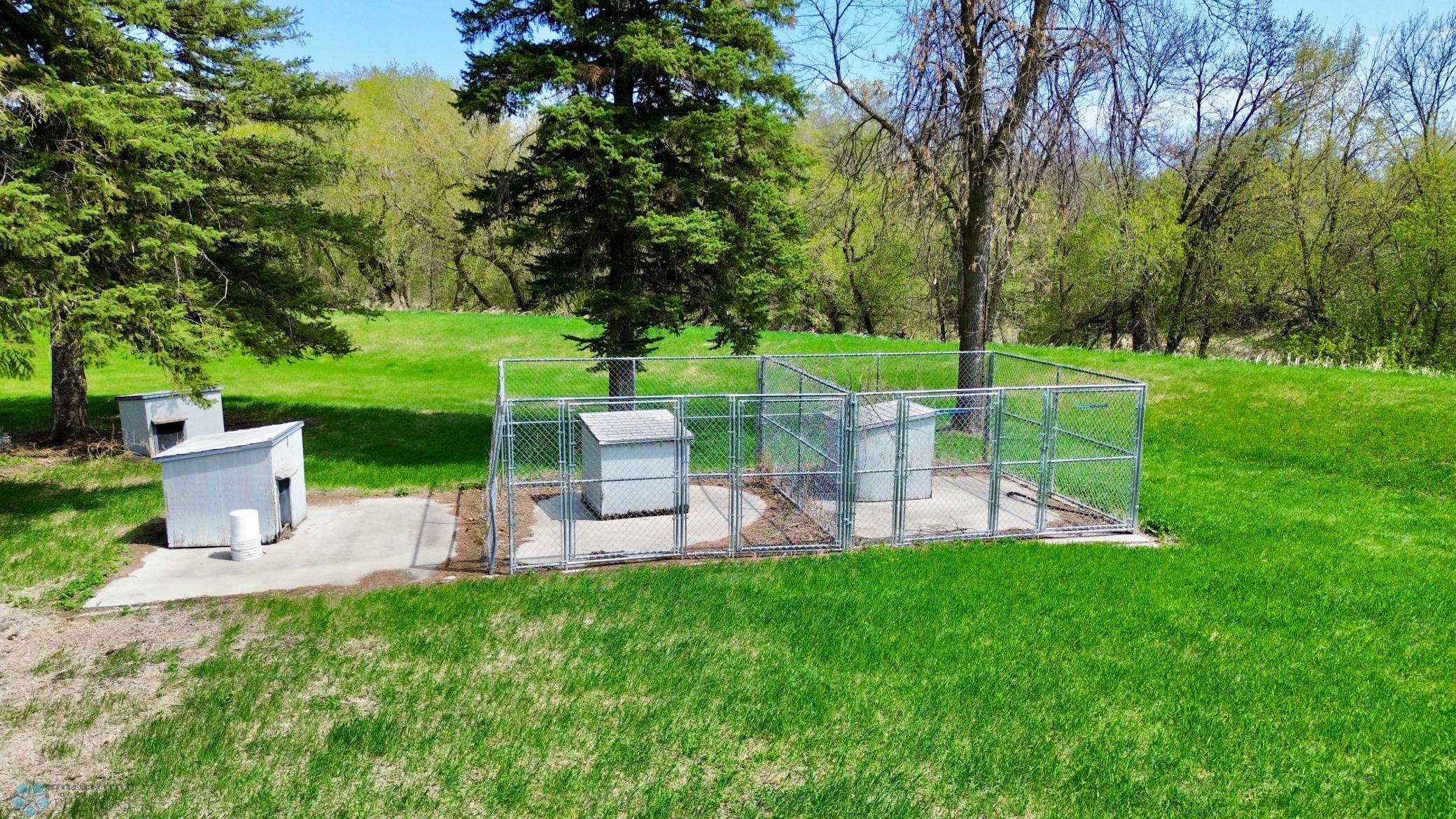 Dog Kennels
