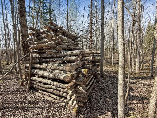 27851 Forty Acre Lane NE, Blackduck, MN 56630