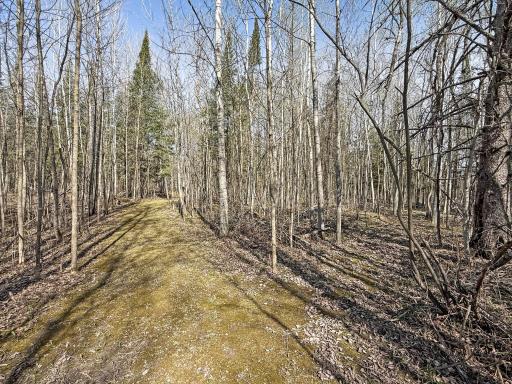 27851 Forty Acre Lane NE, Blackduck, MN 56630
