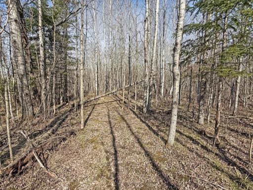 27851 Forty Acre Lane NE, Blackduck, MN 56630
