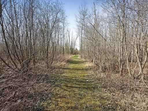 27851 Forty Acre Lane NE, Blackduck, MN 56630