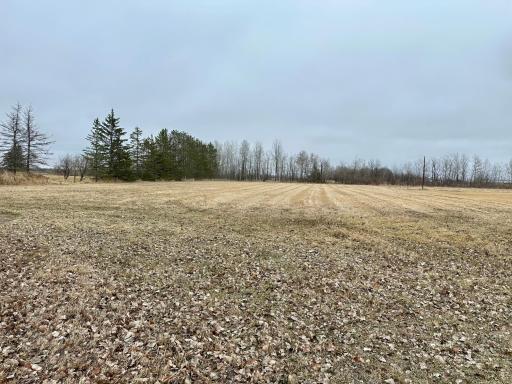 Photo for 19912 State Highway 32, Greenbush, MN 56726 - Listing #6716360 19912 State Highway 32, Greenbush, MN 56726