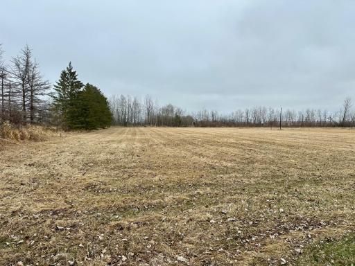Photo for 19912 State Highway 32, Greenbush, MN 56726 - Listing #6716360 19912 State Highway 32, Greenbush, MN 56726