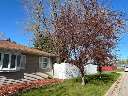 324 Maple Avenue S, Thief River Falls, MN 56701