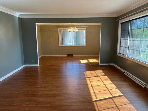 324 Maple Avenue S, Thief River Falls, MN 56701