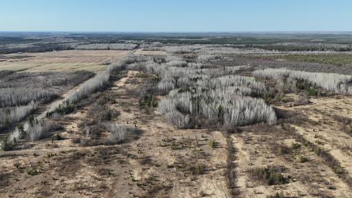 TBD County Road 14, Littlefork, MN 56653