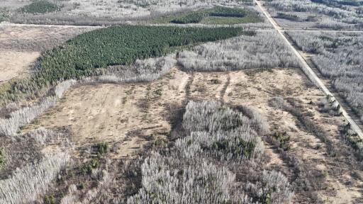 TBD County Road 14, Littlefork, MN 56653