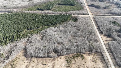 These parcels back up to thousands of acres of State land.