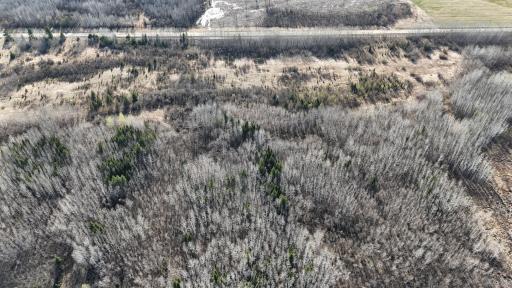 TBD County Road 14, Littlefork, MN 56653