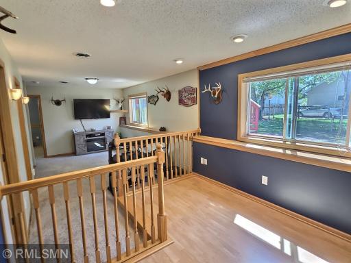 The finished lower level is flooded with natural light and is truly multi-use. Half of the space includes carpet floors while the other half is laminated with a step up.