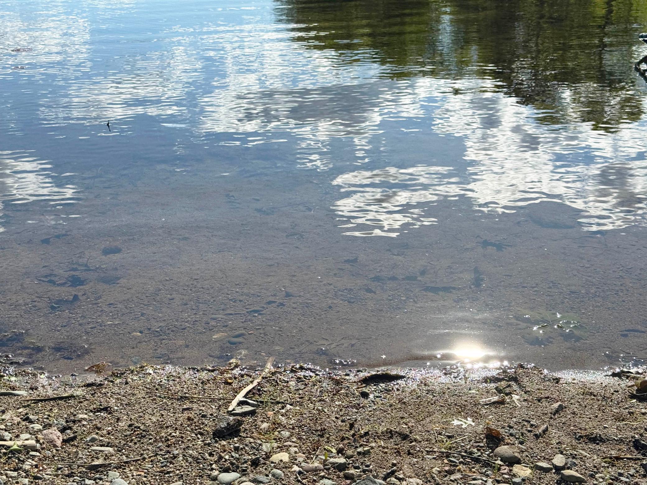A shot of the lake bottom at the boat access.