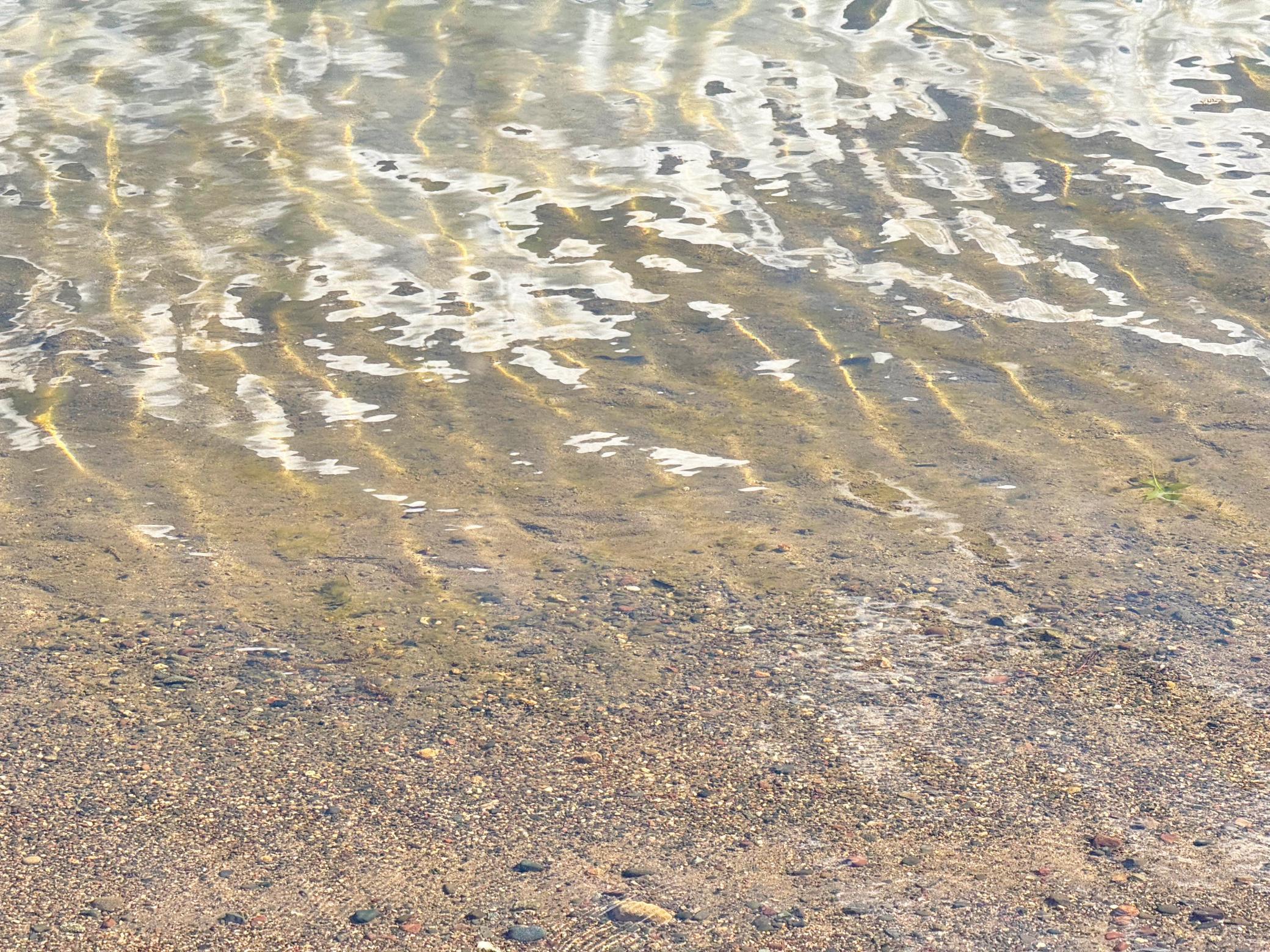 A look at the lake bottom at the beach.