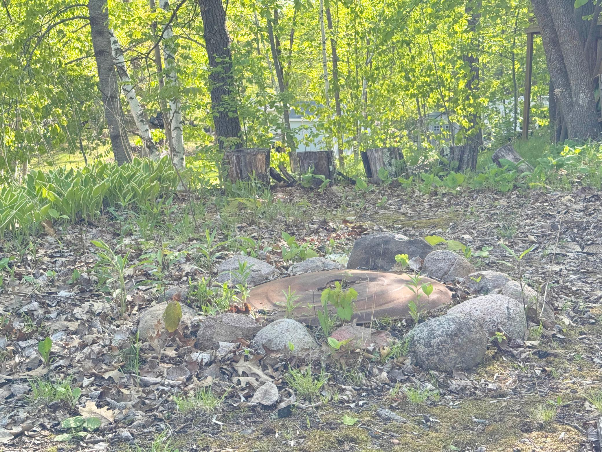 A shot of the firepit.