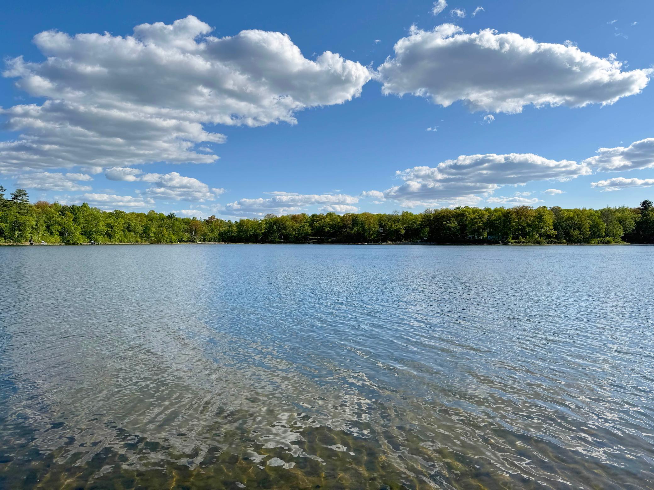 Views across the lake from the beach.